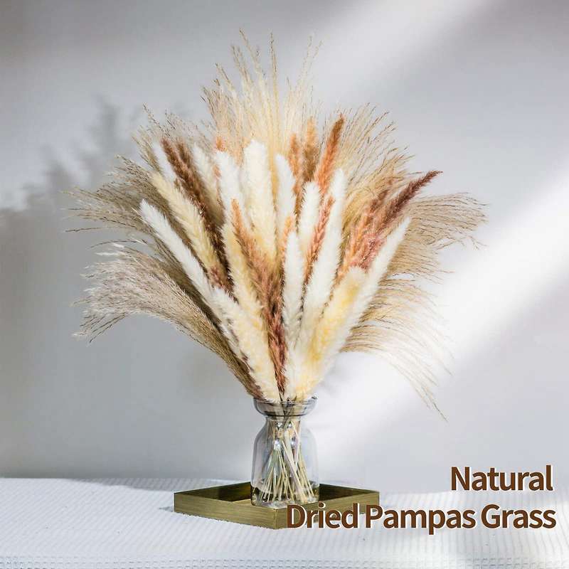 70pcs Natural Dried Pampas Grass Bouquets for Home Wedding Boho Decor