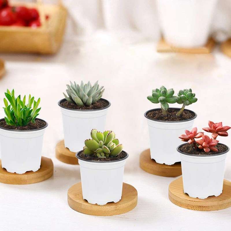 Flower Seedling Starter Pots for Little Garden Pots to Repot (100pcs)