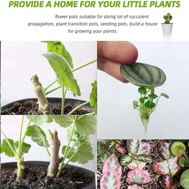 Flower Seedling Starter Pots for Little Garden Pots to Repot (100pcs)