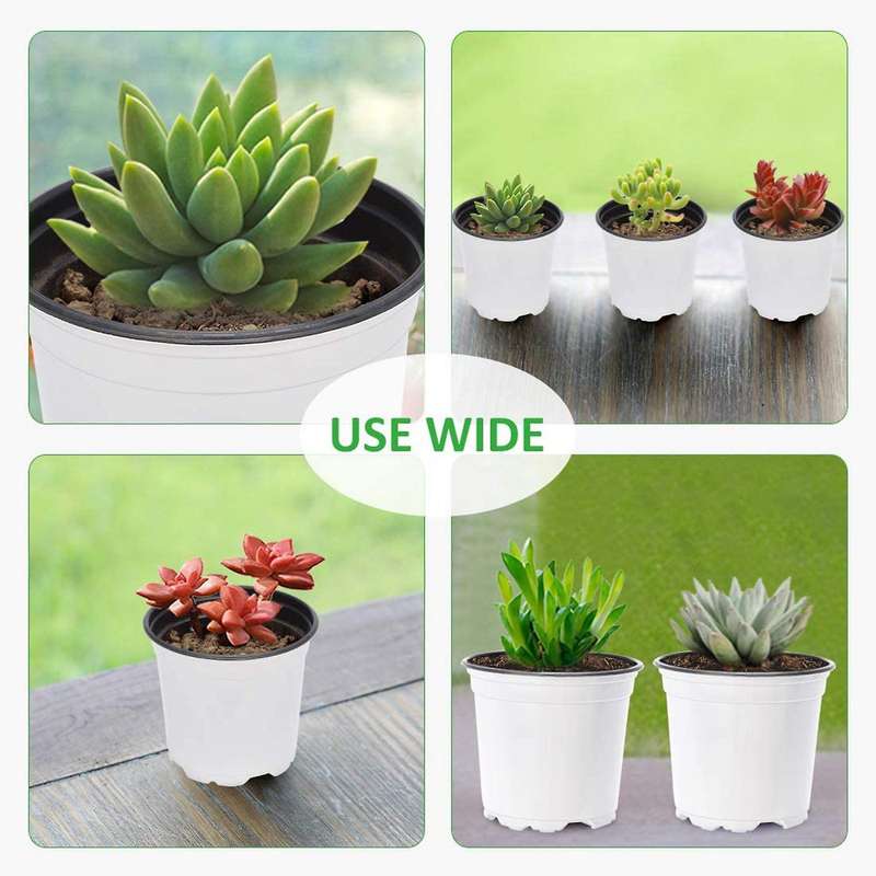 Flower Seedling Starter Pots for Little Garden Pots to Repot (100pcs)