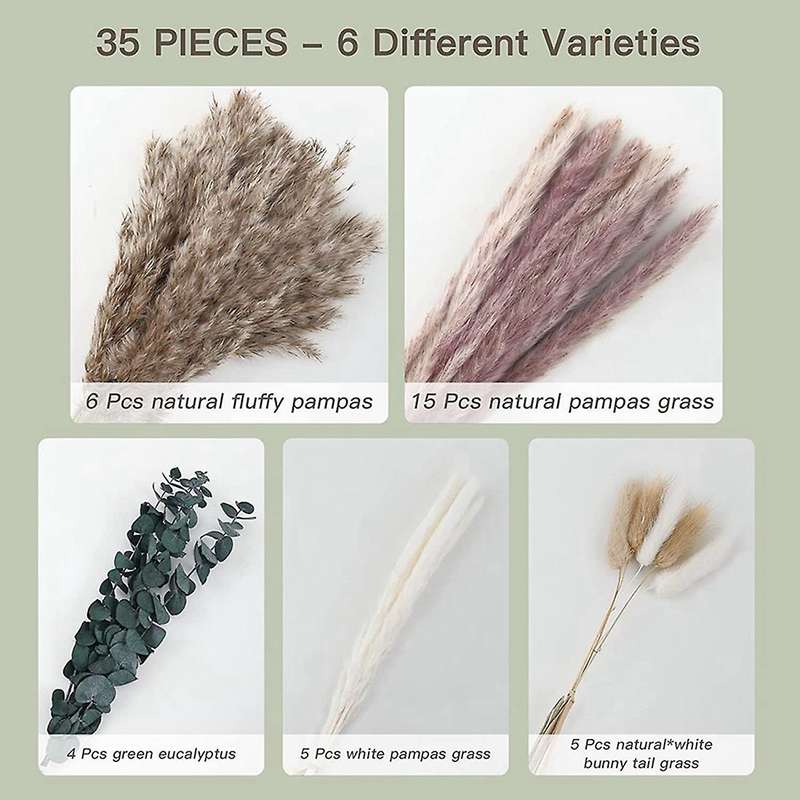 35 Pcs Dried Pampas Grass 17 Inches Pampas Grass Decor Pampas Grass