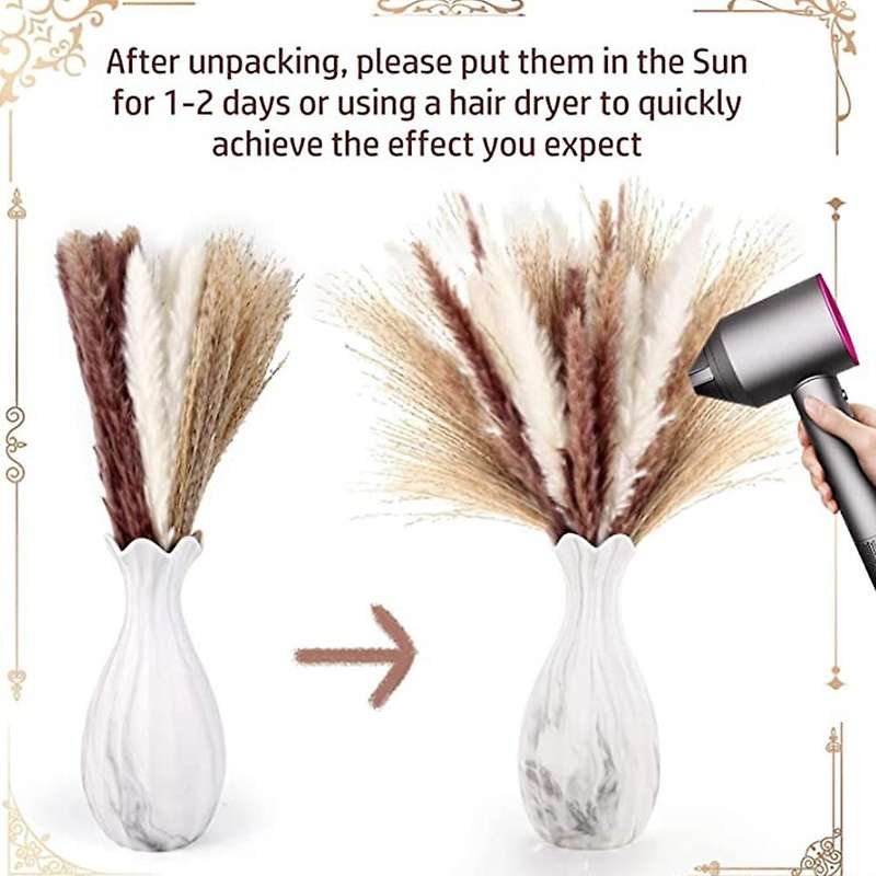 60 Pieces Dried Pampas Grass Decorations - Dried Flower for Home