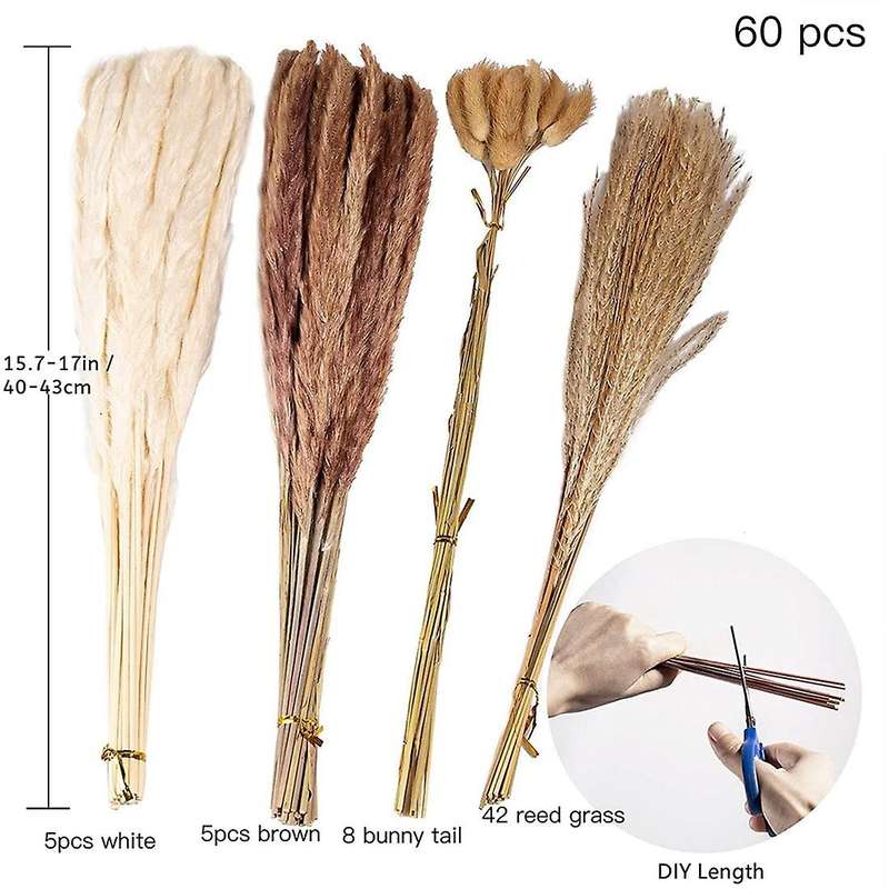 Natural Dried Pampas Grass, 65pcs Pampas Grass Decor, for Home Decor