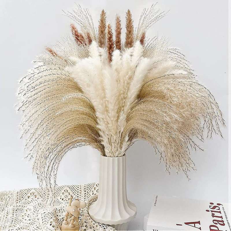 Natural Dried Pampas Grass, 65pcs Pampas Grass Decor, for Home Decor