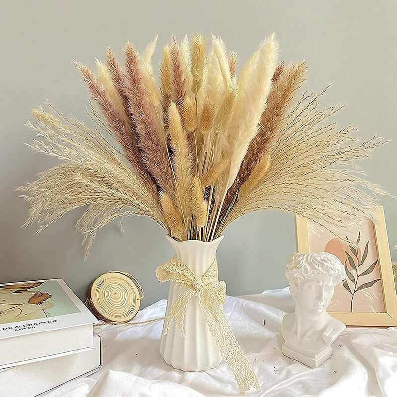 Natural Dried Pampas Grass, 65pcs Pampas Grass Decor, for Home Decor