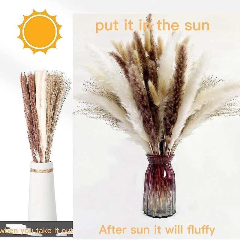 Natural Dried Pampas Grass, 65pcs Pampas Grass Decor, for Home Decor