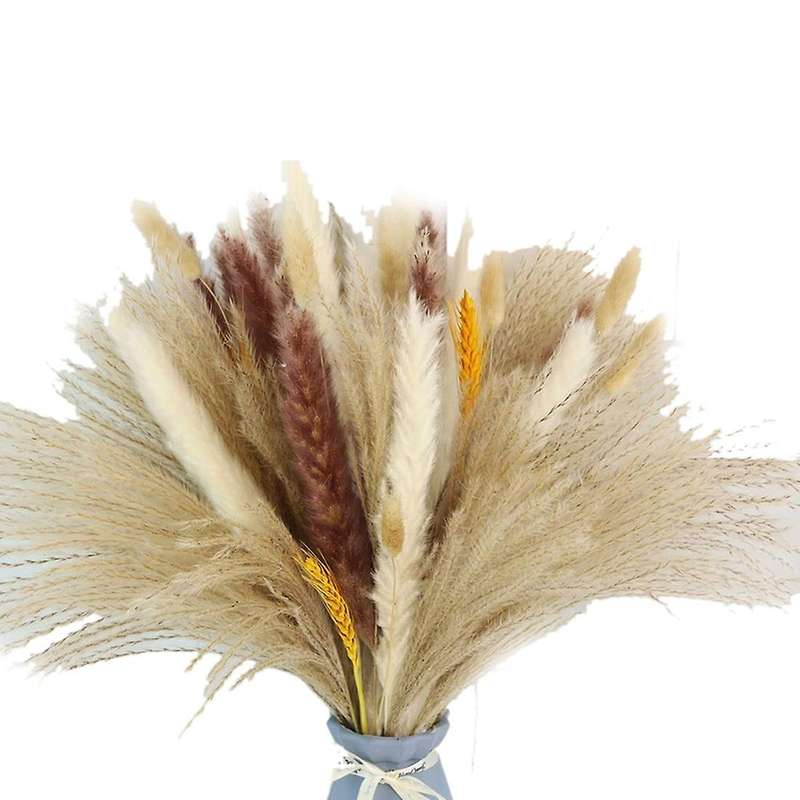 70 Pcs Natural Dried Pampas Grass Bouquets for Boho Wedding Decor