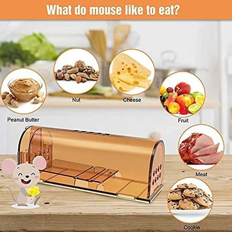 2pcs Humane Mouse Traps Catch &release That Work for House,small Mice