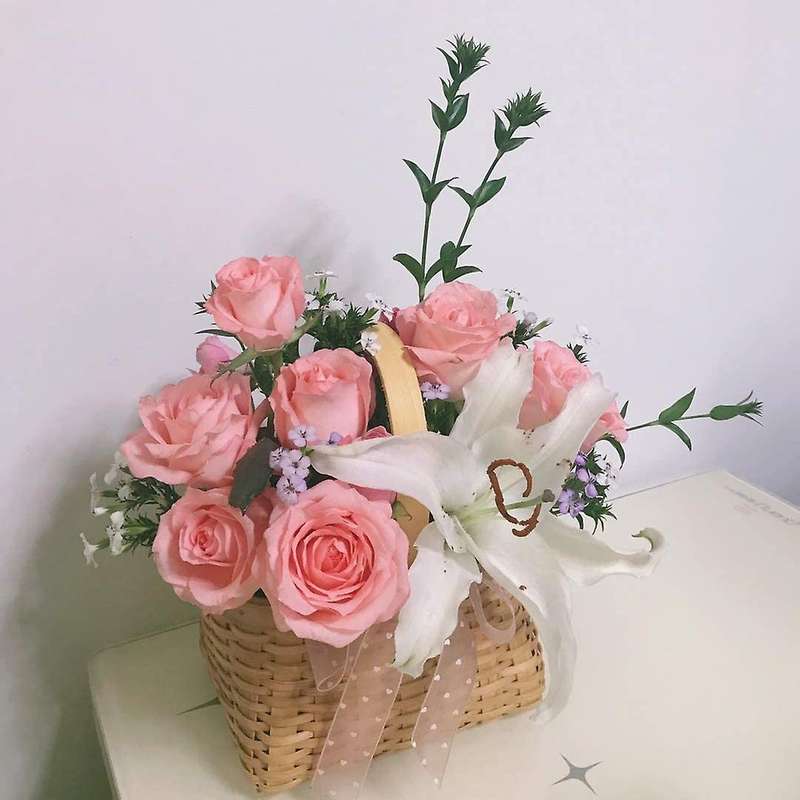 Diy Kit,round Floral Foam Bowl for Wedding Aisle Flowers,party