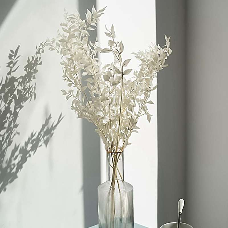 45cm Dried Forever Preserved Ruscus Flowers Diy for Home Decor