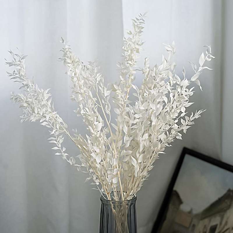 45cm Dried Forever Preserved Ruscus Flowers Diy for Home Decor