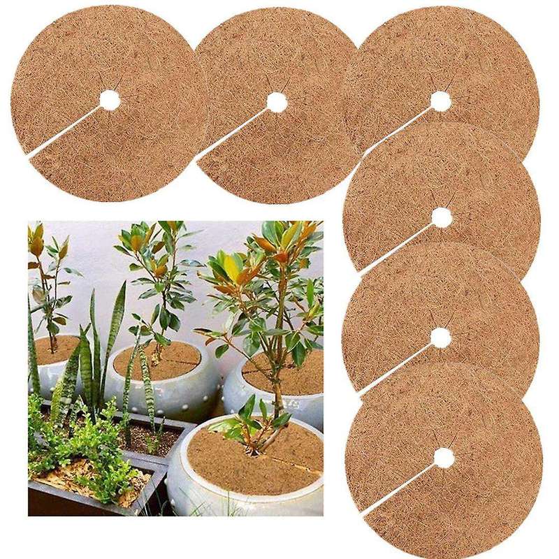 6pcs Coconut Palm Mulch Cover for Plant Root Anti-freezing 30cm