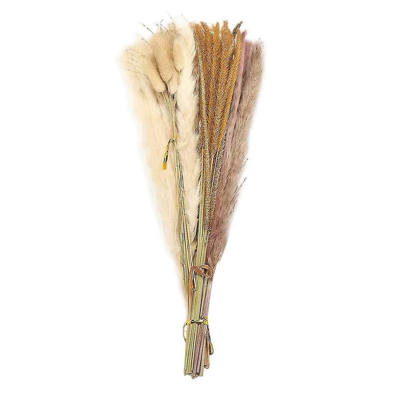 65 Pcs Pampas Grass,large Fluffy Tall,non Shedding Boho for Wedding