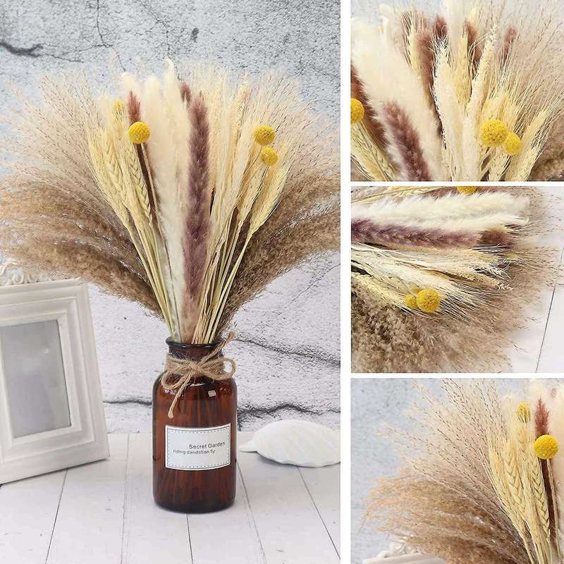 65 Pcs Pampas Grass,large Fluffy Tall,non Shedding Boho for Wedding