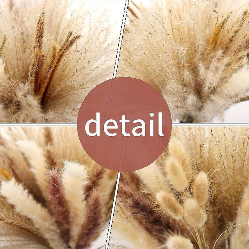 65 Pcs Pampas Grass,large Fluffy Tall,non Shedding Boho for Wedding
