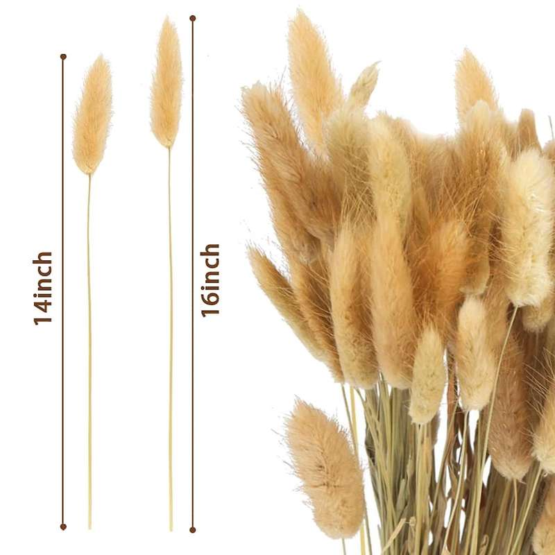 120pcs Rabbit's Tail Grass,17inch Dried Pampas Grass for Wedding Home