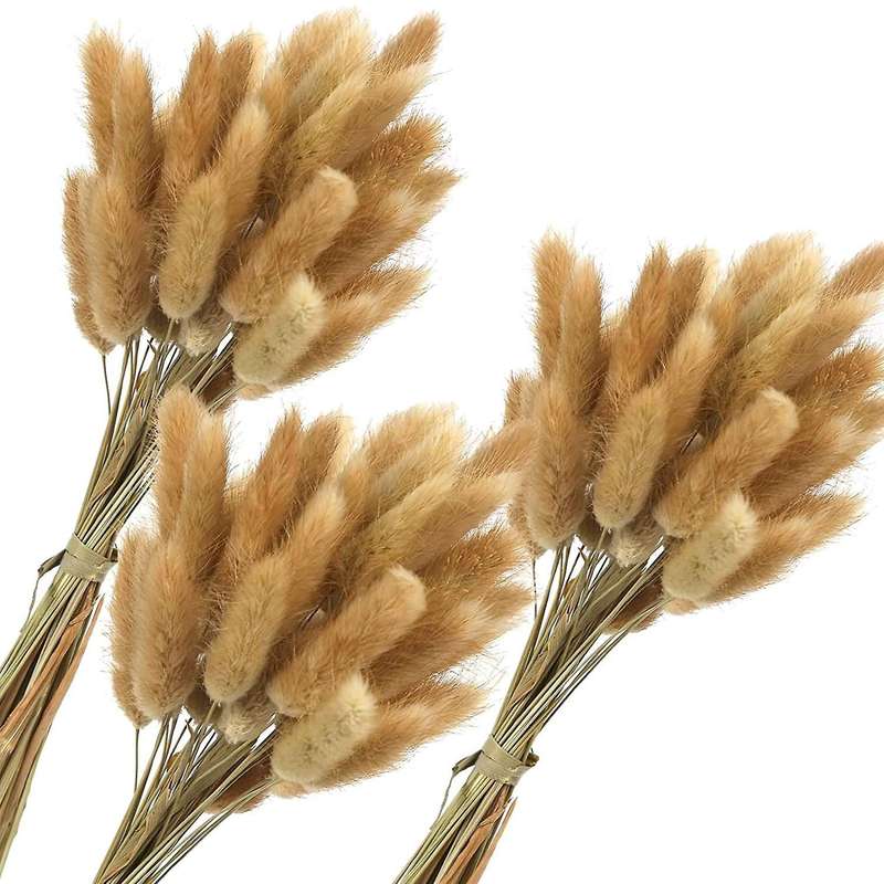 120pcs Rabbit's Tail Grass,17inch Dried Pampas Grass for Wedding Home