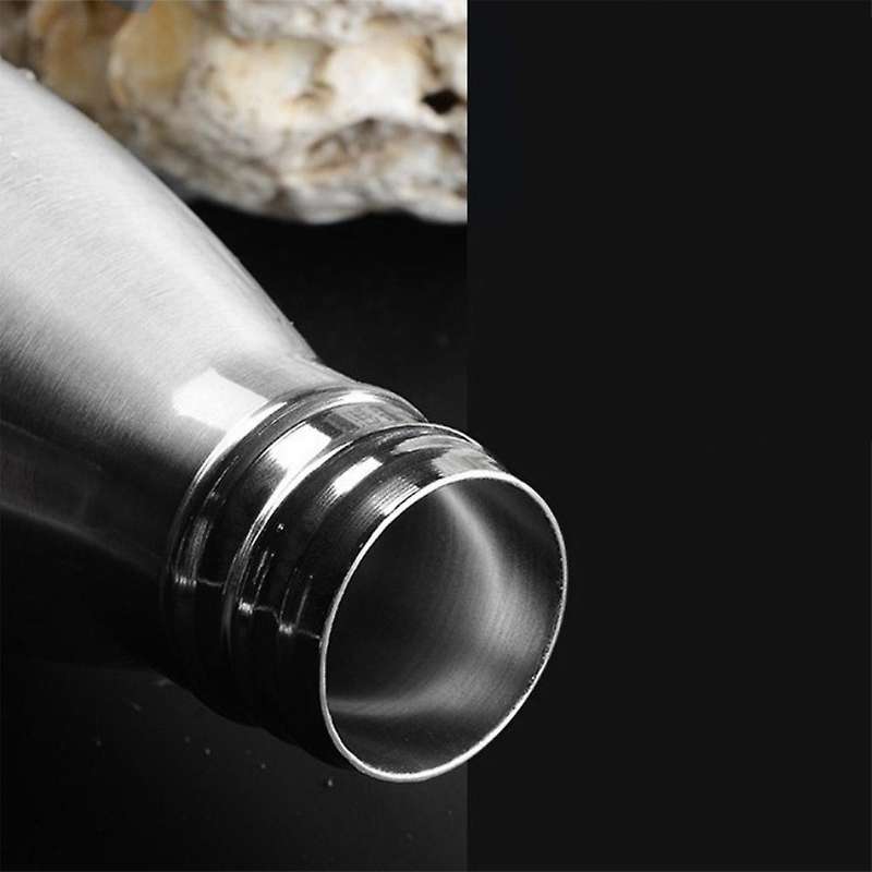 Stainless Steel Sports Bottle Male and Female Students Cola Bottle