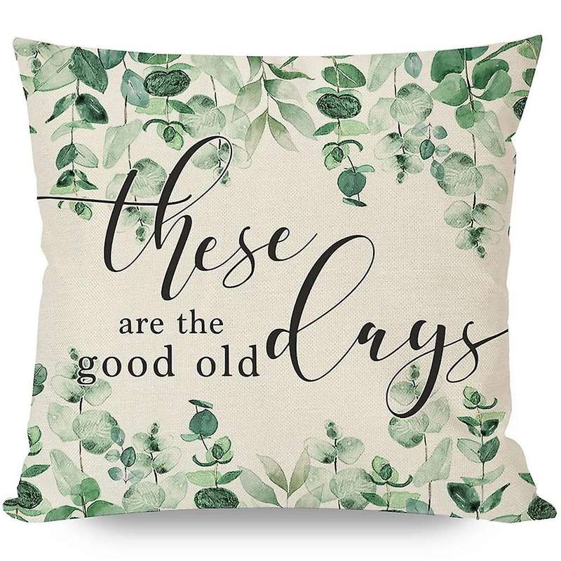 Farmhouse Throw Pillows Cases Spring Decorations Cushion Covers