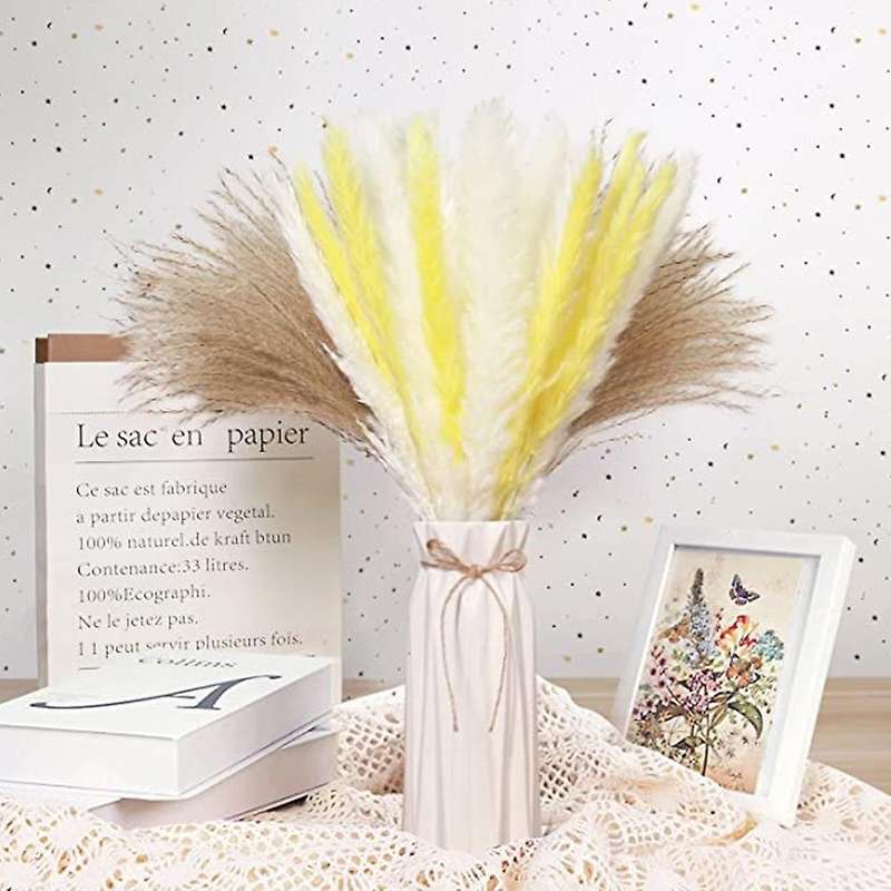 60pcs Natural Dried Pampas Grass for Floral Arrangements, Home Decor