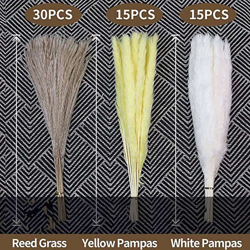 60pcs Natural Dried Pampas Grass for Floral Arrangements, Home Decor