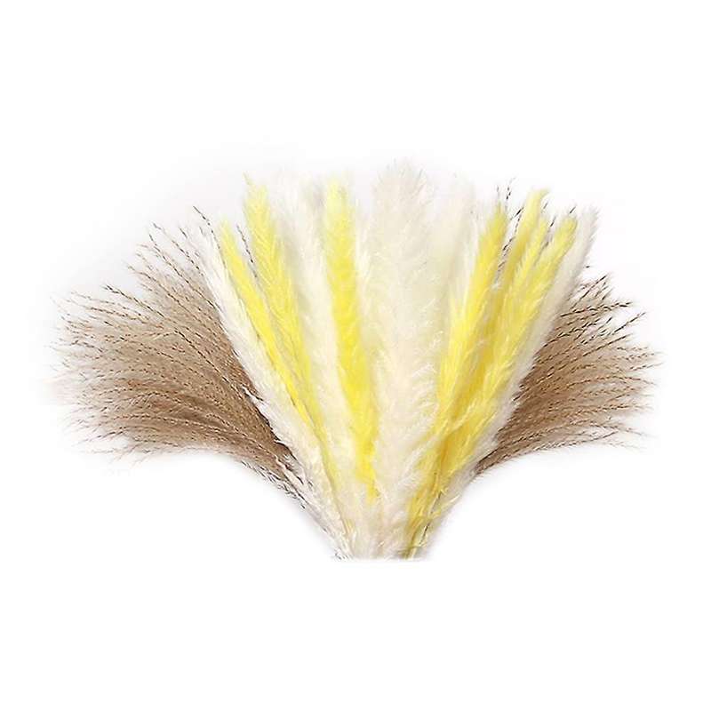 60pcs Natural Dried Pampas Grass for Floral Arrangements, Home Decor