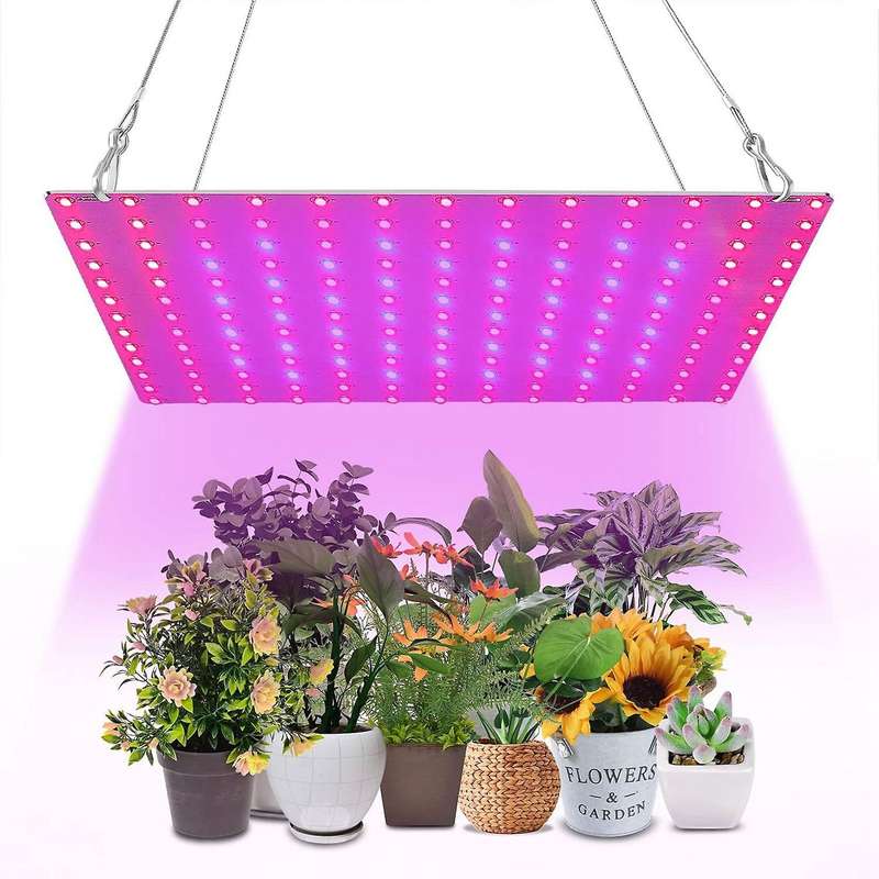 Led Grow Lights with Red Blue Spectrum Hydroponic Seeding Eu Plug