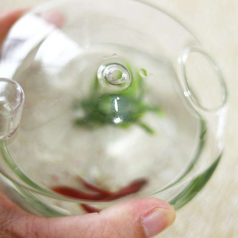 Mushroom-shaped Hanging Glass Planter Vase Rumble Fish Tank