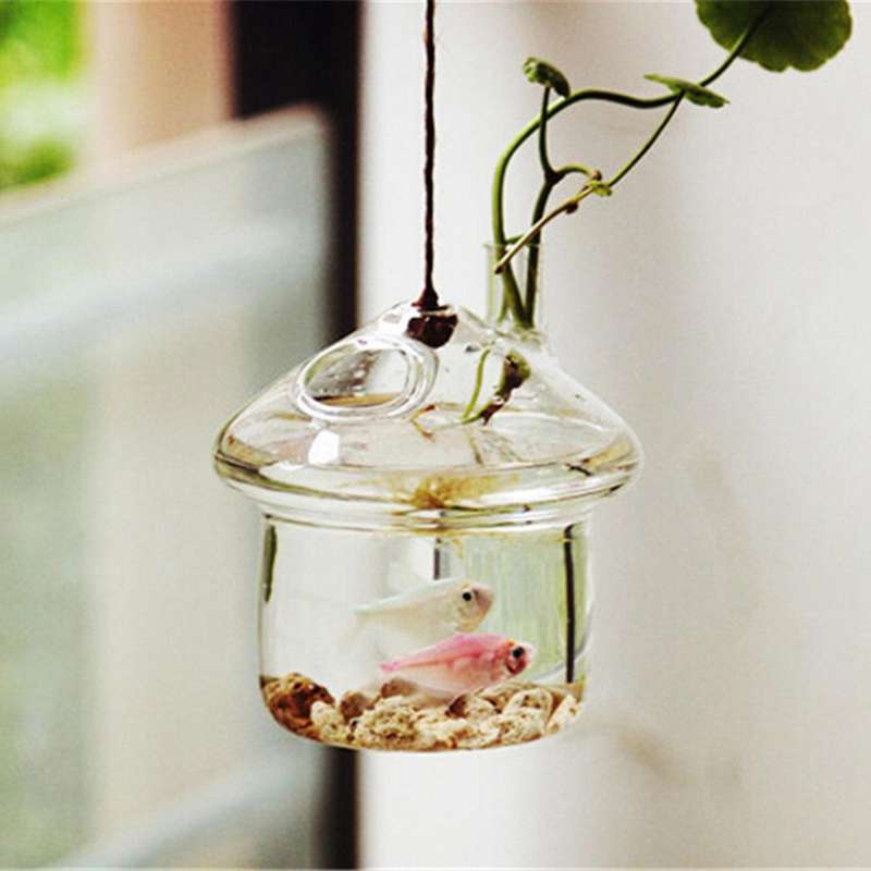 Mushroom-shaped Hanging Glass Planter Vase Rumble Fish Tank