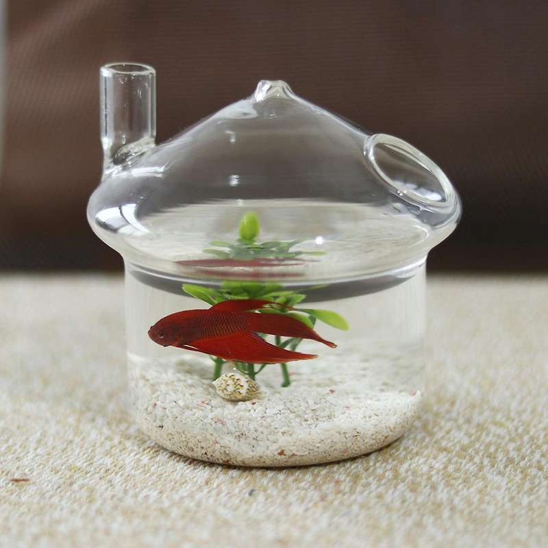 Mushroom-shaped Hanging Glass Planter Vase Rumble Fish Tank