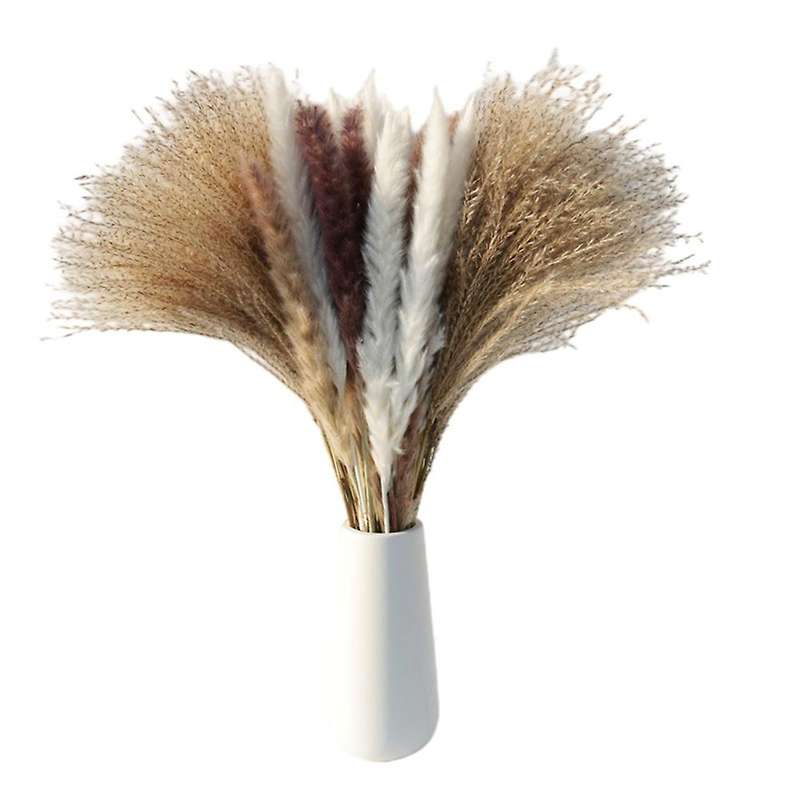 60pcs Dried Reed Small Pampas Flowers Artificial Banquet Decoration