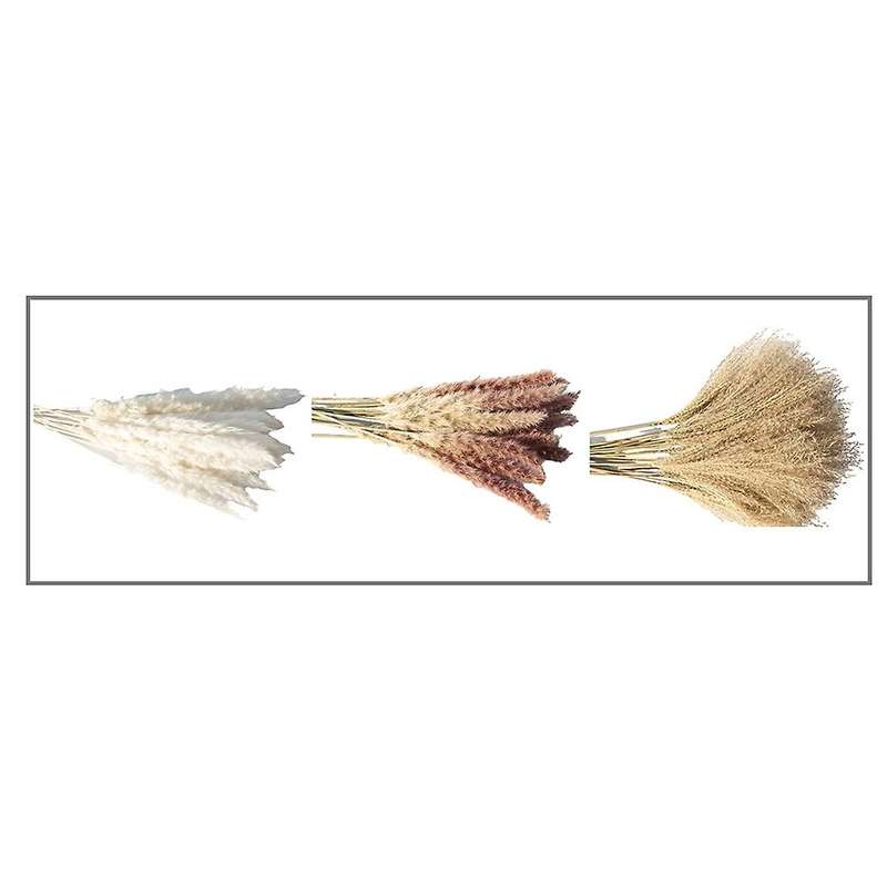 60pcs Dried Reed Small Pampas Flowers Artificial Banquet Decoration