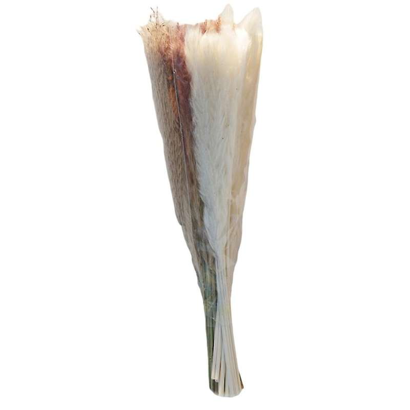 60pcs Dried Reed Small Pampas Flowers Artificial Banquet Decoration