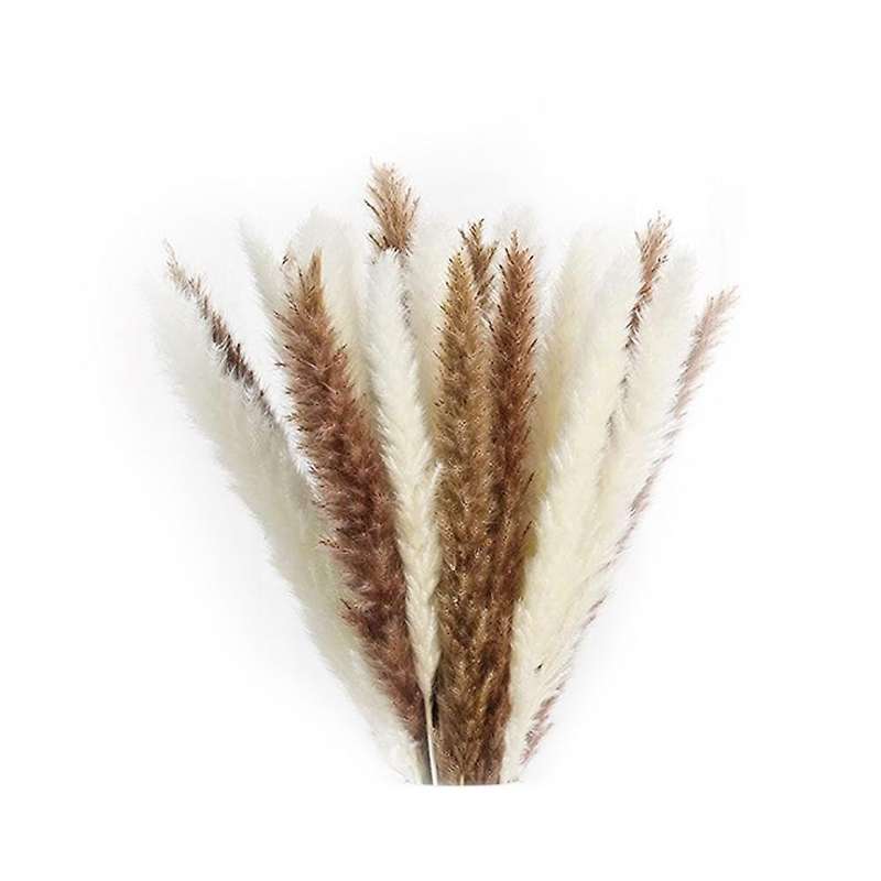 70 Pieces Of Natural Dried Pampas for Wedding Party Home Decor