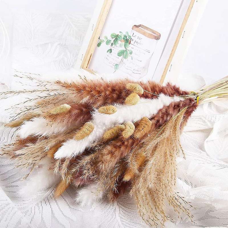 70 Pieces Of Natural Dried Pampas for Wedding Party Home Decor