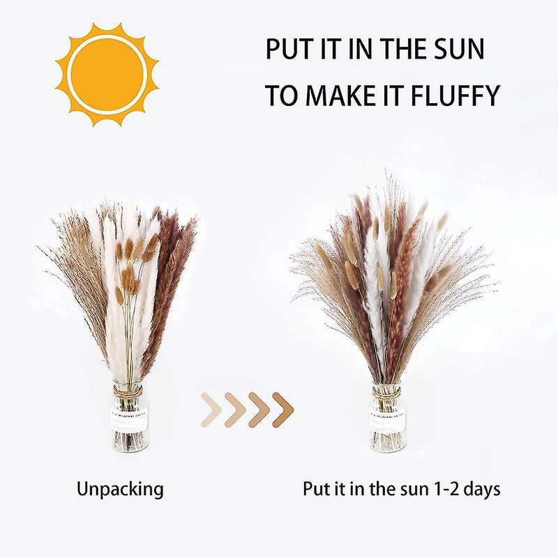 70 Pieces Of Natural Dried Pampas for Wedding Party Home Decor