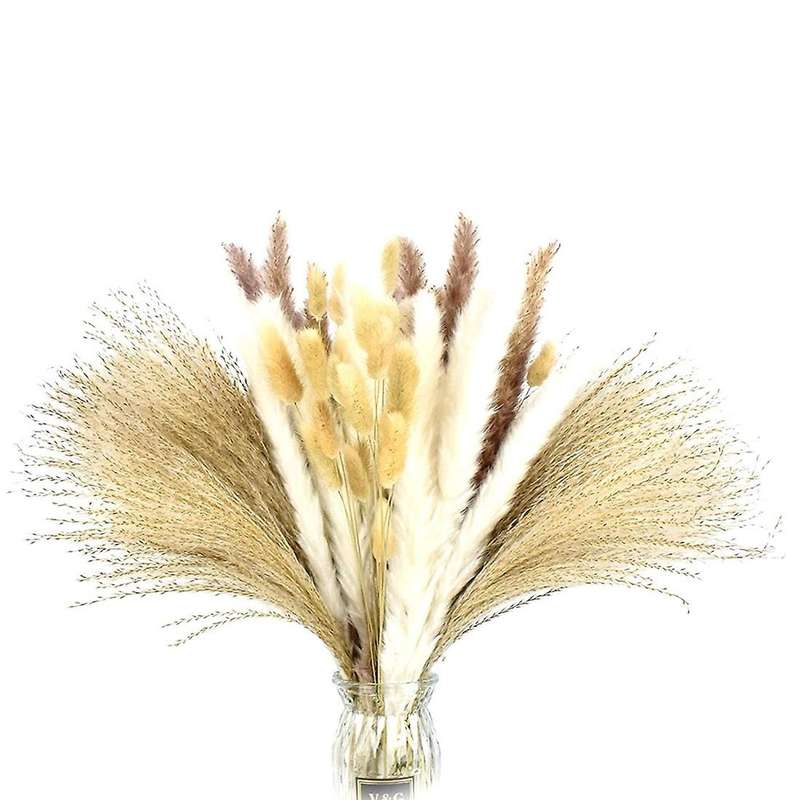 90 Pcs Natural Dried Pampas Grass, for Home Decor, Boho Decor,wedding