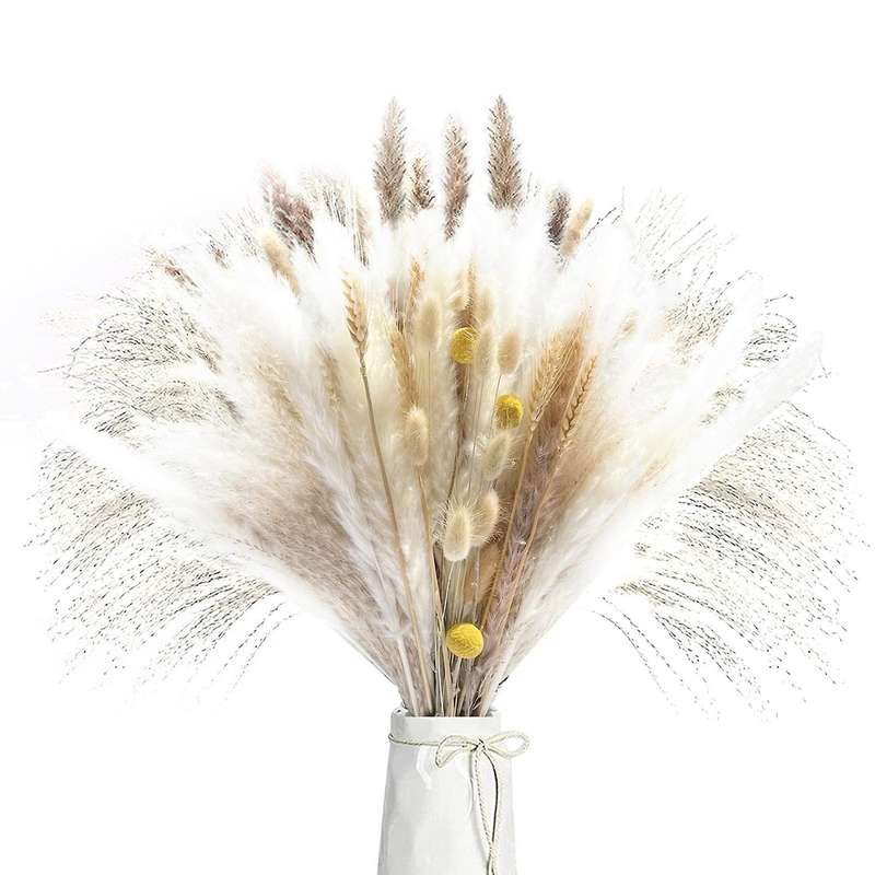 Brown Pampas Reed Grass Natural Dried Bouquet for Home Decor Boho