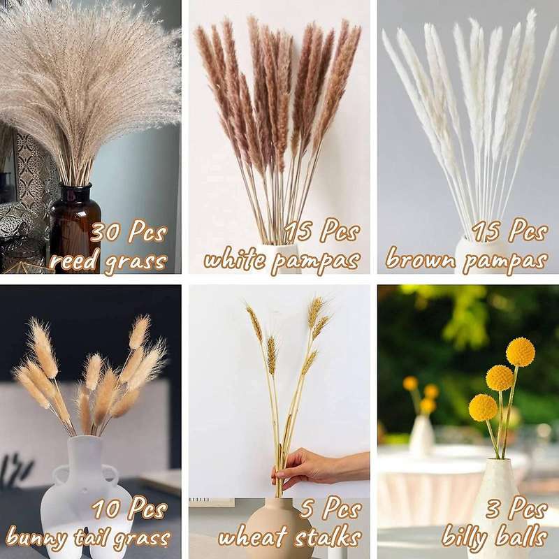 Brown Pampas Reed Grass Natural Dried Bouquet for Home Decor Boho