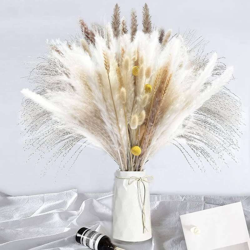 Brown Pampas Reed Grass Natural Dried Bouquet for Home Decor Boho