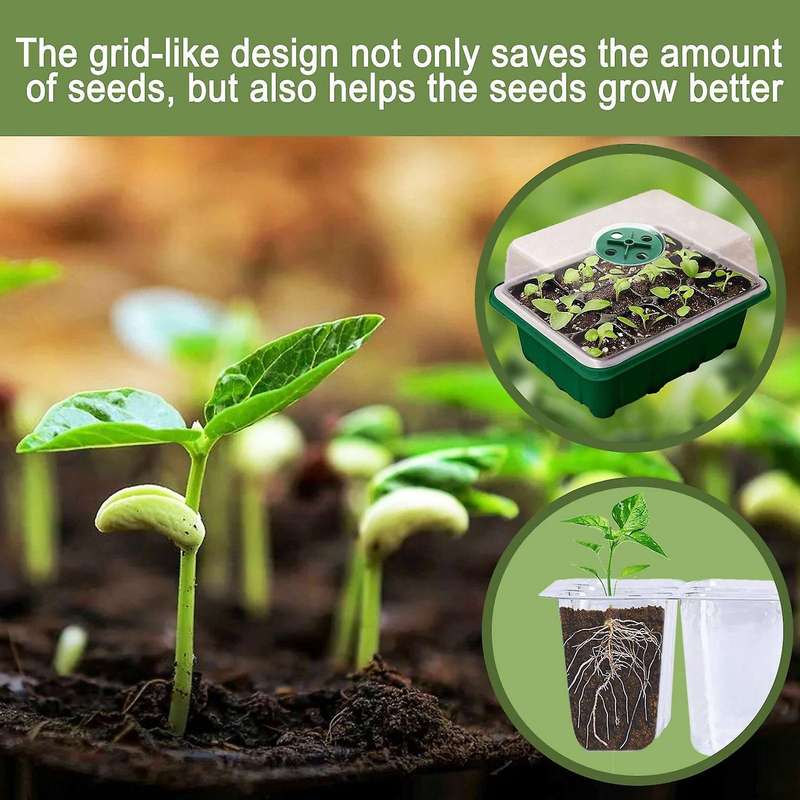 Seed Starter Tray,12-cell Seed Propagator Tray, Plastic Seeding Tools