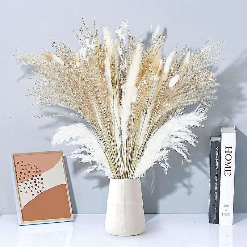 80 Pampas Ornaments, Fluffy and Full, Pampas Grass Fluffy