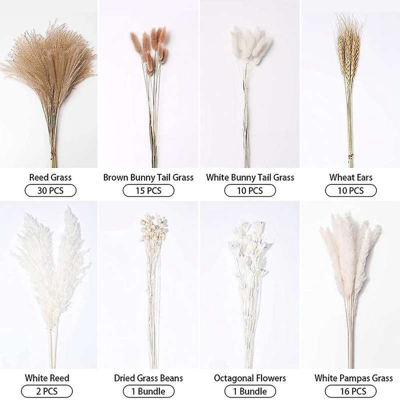 80 Pampas Ornaments, Fluffy and Full, Pampas Grass Fluffy