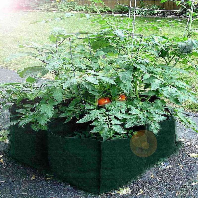 2x 4 Divided Grids Planting Grow Pot for Suitable Planting Vegetables