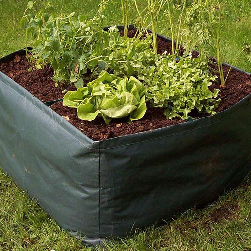 2x 4 Divided Grids Planting Grow Pot for Suitable Planting Vegetables