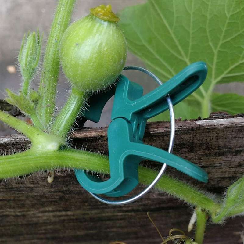 110 Pieces Plant Clips,plant Holder for Trellis Tomatoes