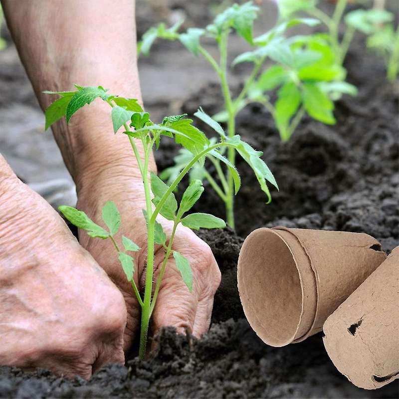 Peat Pots, 60 Pcs 3.15 Inch Seed Starting Pots with Drainage Holes