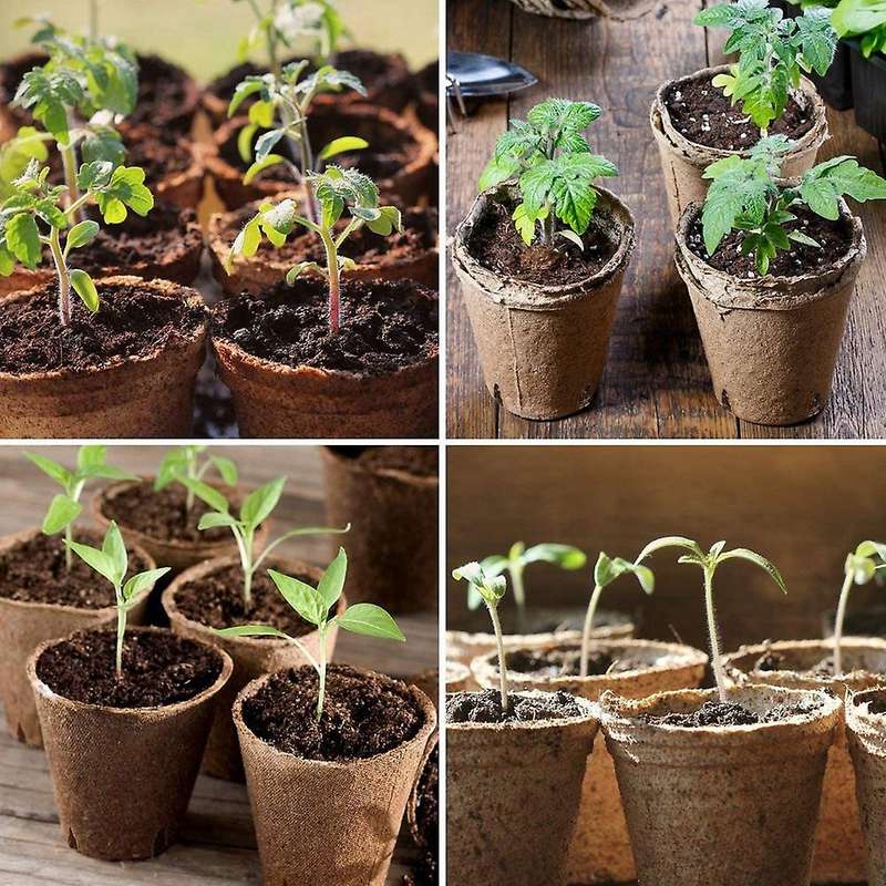 Peat Pots, 60 Pcs 3.15 Inch Seed Starting Pots with Drainage Holes