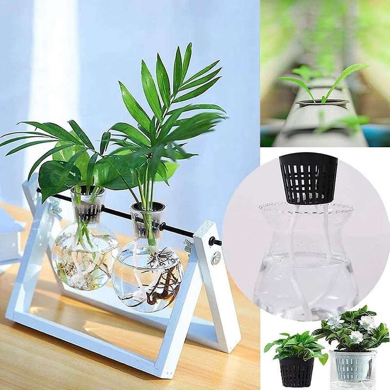 50pcs Plant Grow Pots Hydroponic Colonization Mesh Plastic Basket