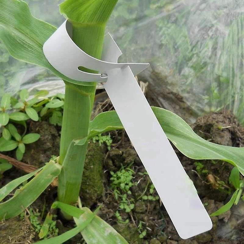 Plastic Plant Labels Wrap Around Tree Tags, Adjustable Nursery Garden